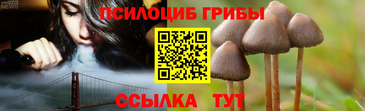 Зерноград  Псилоцибиновые грибы ЛСД  Вход с VPN 